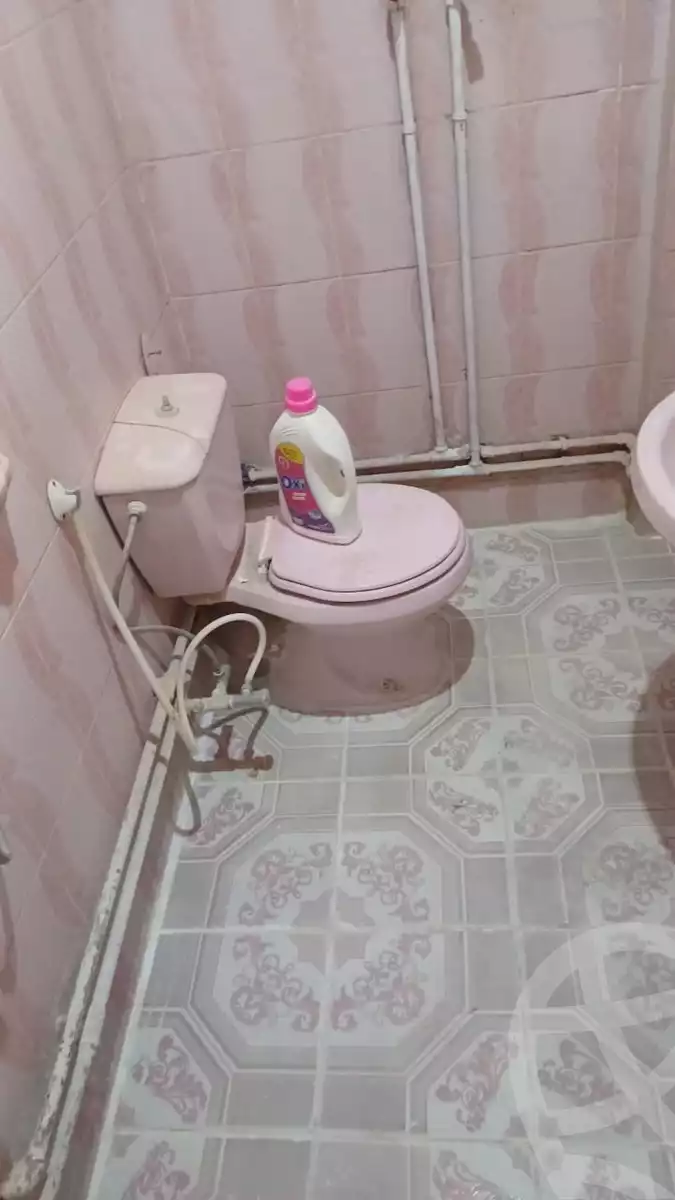 https://aqarmap.com.eg/en/listing/5427197-for-rent-cairo-el-zaytun-hlmy-lzytwn