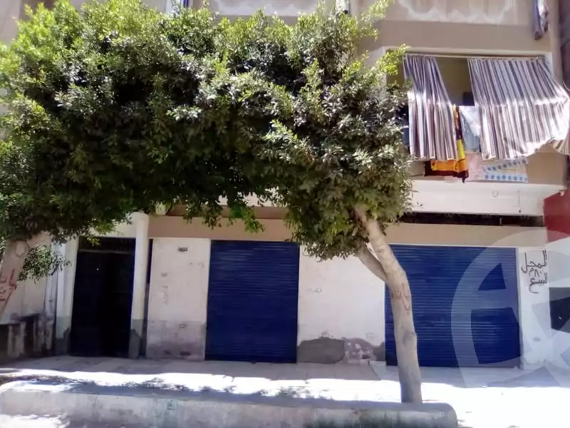 https://aqarmap.com.eg/ar/listing/5432061-for-sale-alexandria-l-jmy-bw-ywsf