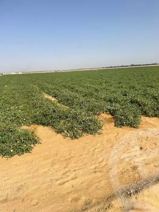 https://aqarmap.com.eg/en/listing/5433500-for-sale-beheira-wadi-el-natrun