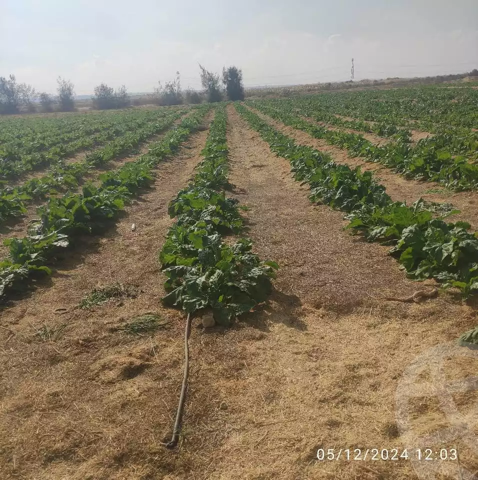 https://aqarmap.com.eg/en/listing/5433549-for-sale-beheira-wadi-el-natrun