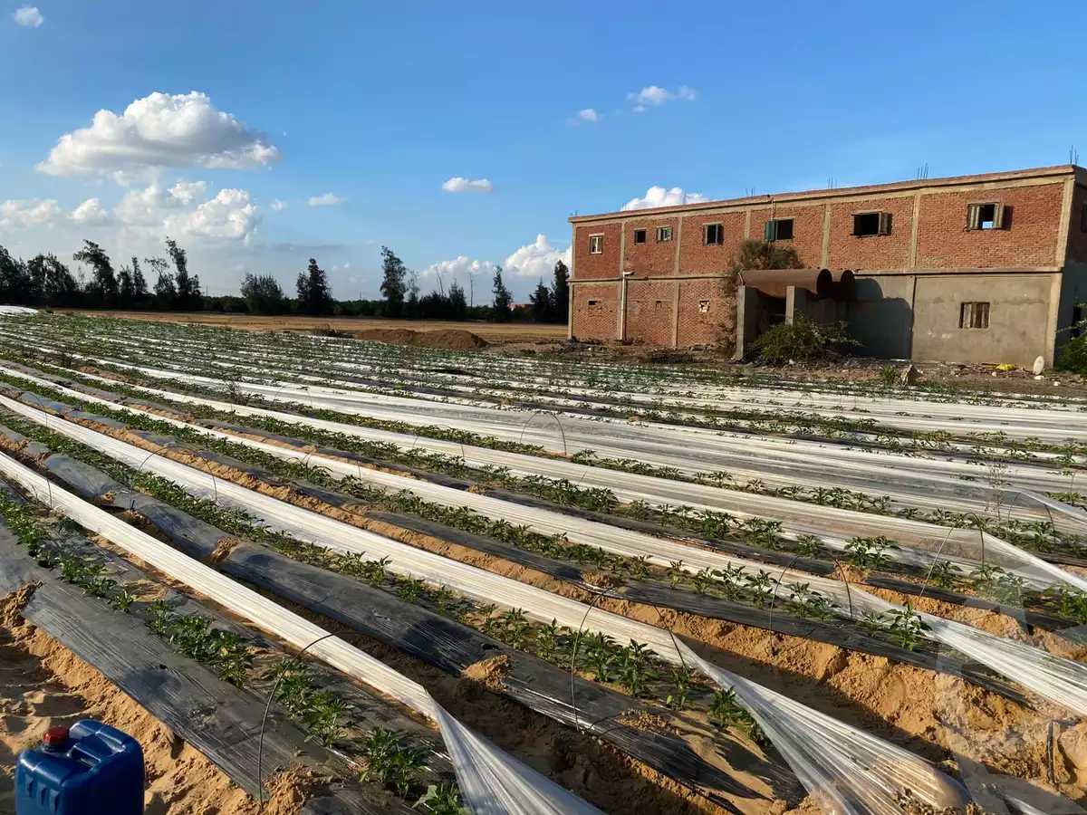 https://aqarmap.com.eg/en/listing/5442189-for-sale-ismailia-ismailia-city-al-asher-men-ramadan-st