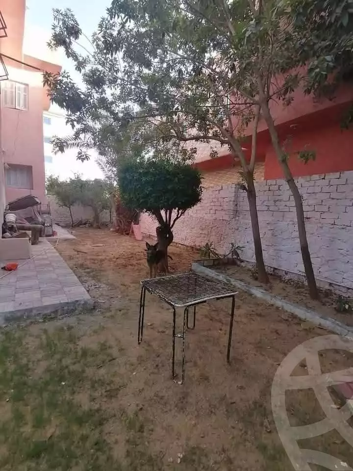 https://aqarmap.com.eg/ar/listing/5454302-for-sale-alexandria-l-jmy-lbytsh-shahr-al-assal-st