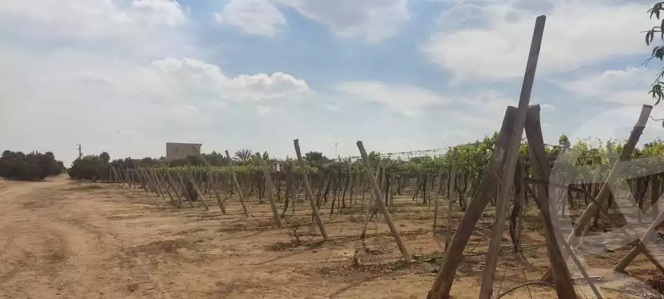 https://aqarmap.com.eg/en/listing/5460796-for-sale-beheira-wadi-el-natrun