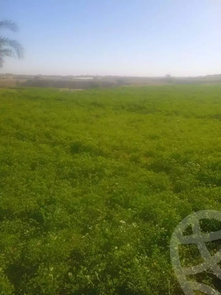 https://aqarmap.com.eg/en/listing/5460822-for-sale-asyut-manfalut-el-atamna