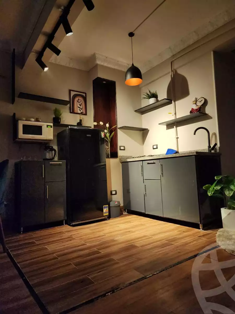 https://aqarmap.com.eg/en/listing/5466064-for-rent-cairo-al-zamalek