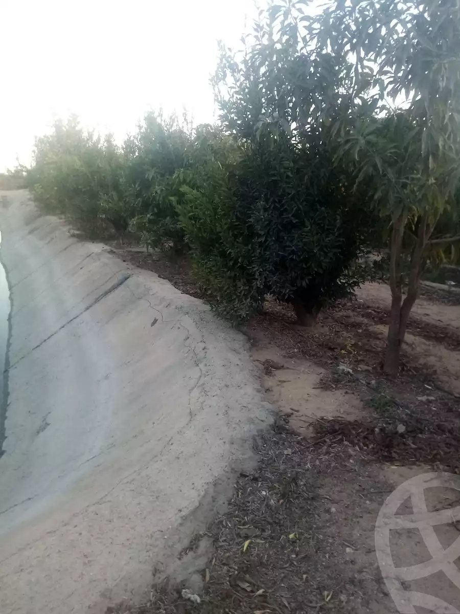 https://aqarmap.com.eg/en/listing/5477747-for-sale-alexandria-cairo-alexandria-desert-road