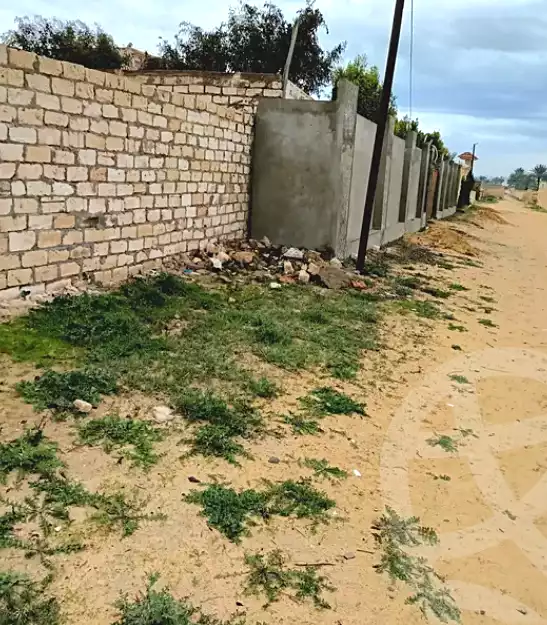 https://aqarmap.com.eg/en/listing/5482897-for-sale-alexandria-borg-el-arab