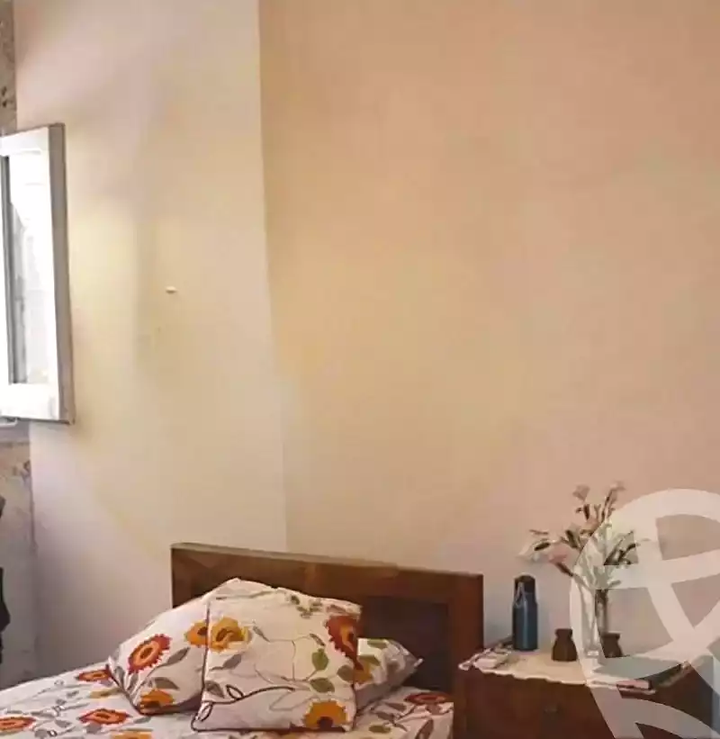https://aqarmap.com.eg/en/listing/5404547-for-sale-alexandria-zezenia