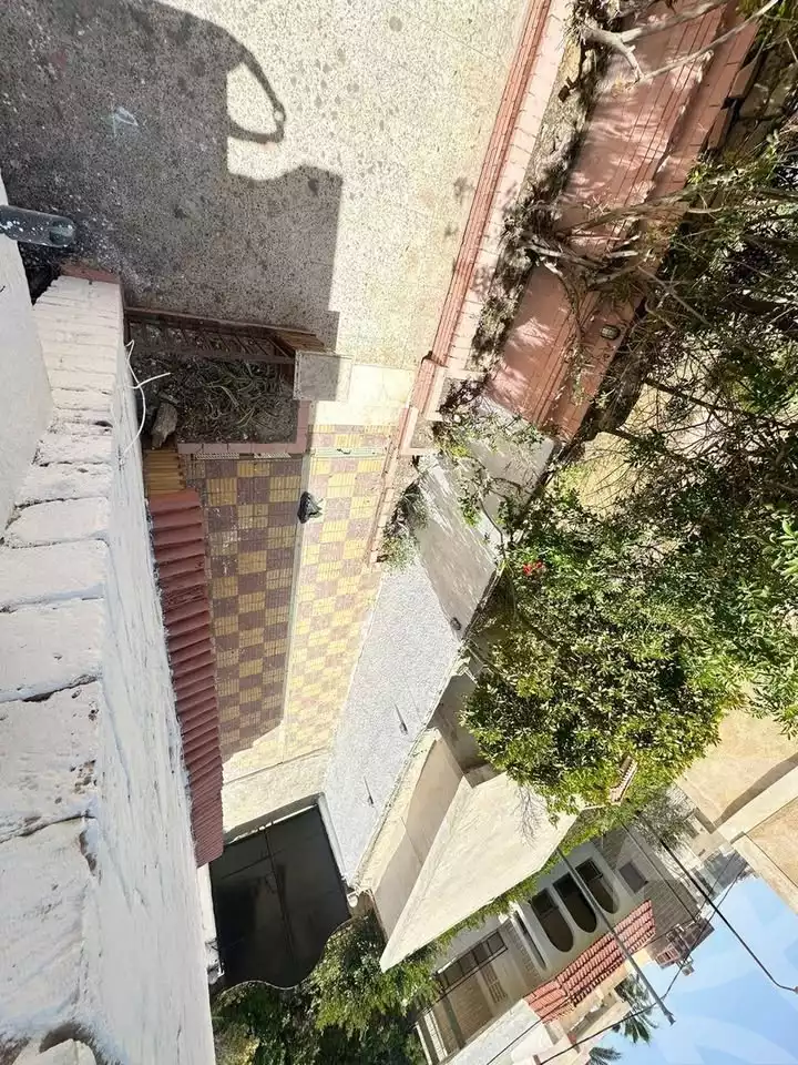 https://aqarmap.com.eg/en/listing/5486693-for-sale-alexandria-l-jmy-bw-ywsf