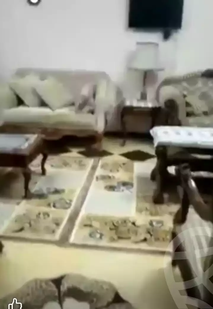 https://aqarmap.com.eg/en/listing/5508101-for-sale-cairo-faisal-el-matbeaa-amr-ibn-al-aas-st