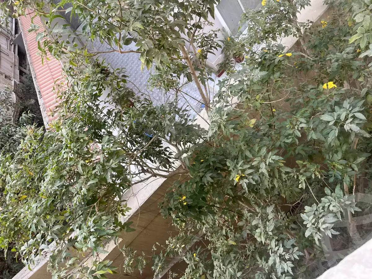 https://aqarmap.com.eg/en/listing/5537706-for-rent-cairo-new-cairo-el-narges-el-narges-3-soliman-azabi-st