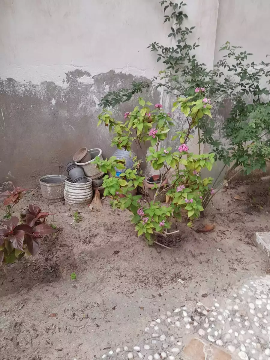 https://aqarmap.com.eg/en/listing/5896511-for-sale-alexandria-l-jmy-shataa-el-nakheel