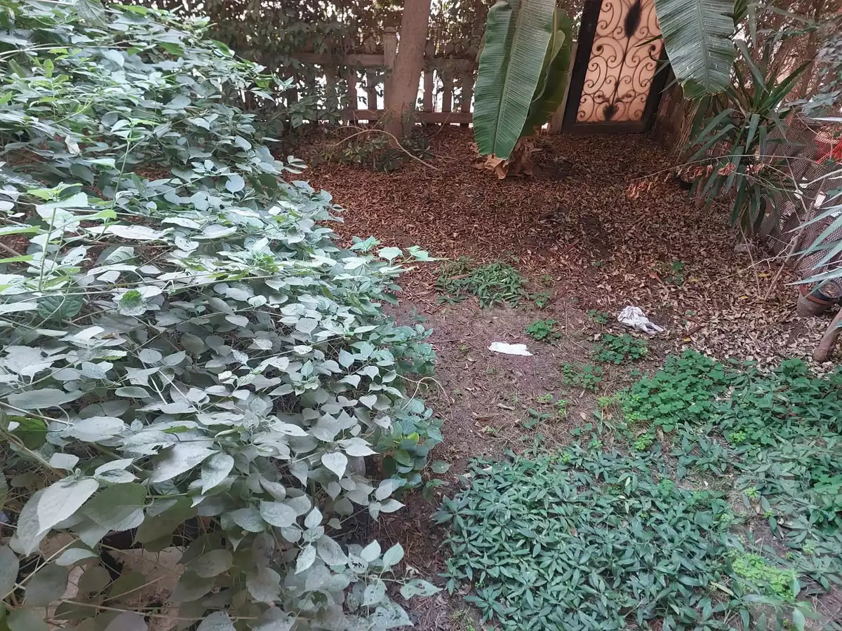 https://aqarmap.com.eg/en/listing/5540085-for-sale-cairo-new-cairo-lrhb-city-phase-1-ibrahim-nagy-st
