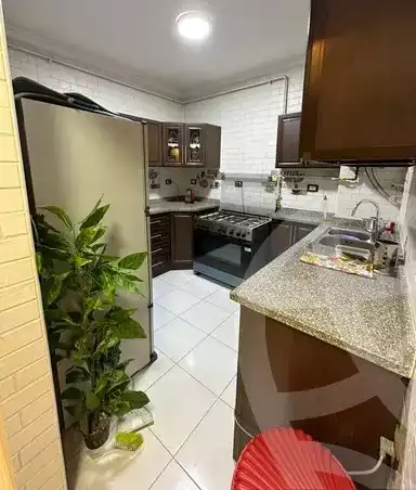 https://aqarmap.com.eg/en/listing/5546641-for-rent-cairo-manial