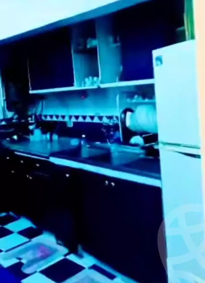https://aqarmap.com.eg/en/listing/5556992-for-rent-alexandria-shds