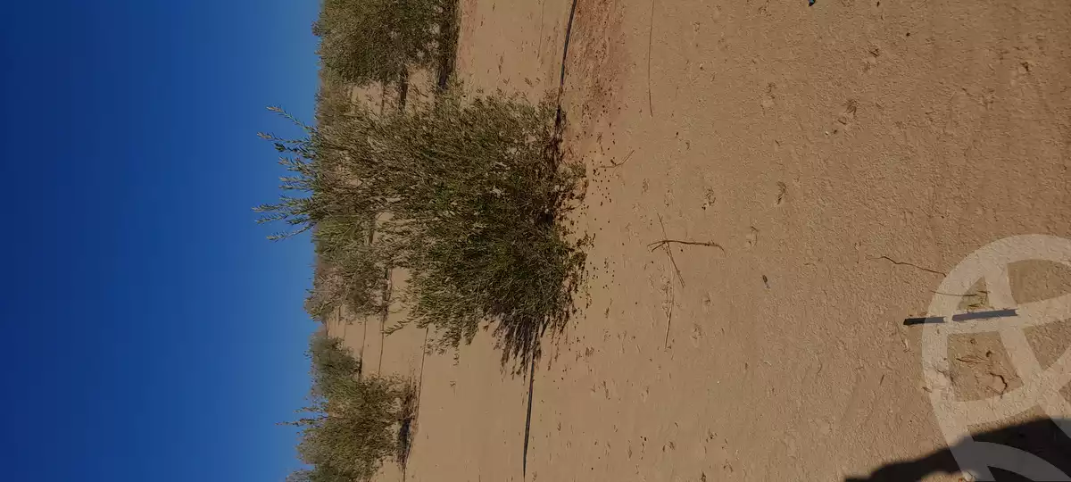 https://aqarmap.com.eg/en/listing/5569443-for-sale-marsa-matruh-siwa-oasis-wahet-siwaa-city