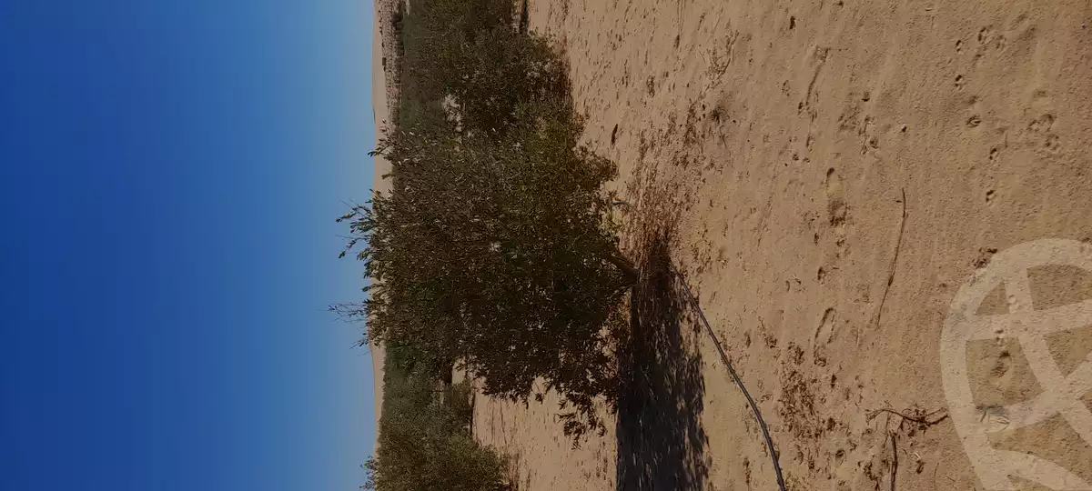 https://aqarmap.com.eg/en/listing/5569443-for-sale-marsa-matruh-siwa-oasis-wahet-siwaa-city