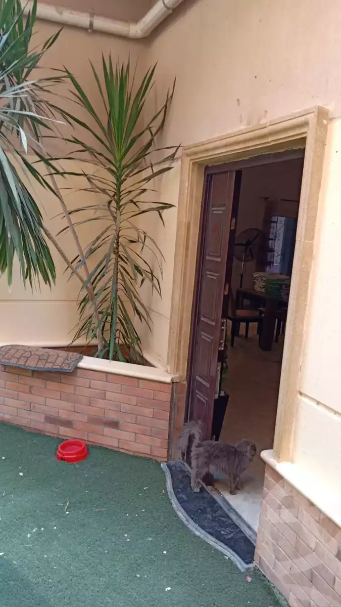 https://aqarmap.com.eg/en/listing/5572386-for-sale-cairo-new-cairo-ganob-el-akadamiya-south-academy-z