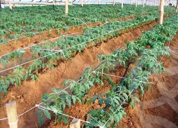 https://aqarmap.com.eg/ar/listing/5577045-for-sale-alexandria-cairo-alexandria-desert-road