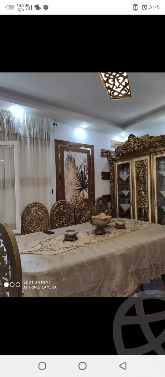 https://aqarmap.com.eg/en/listing/5584382-for-sale-alexandria-l-jmy-shataa-el-nakheel