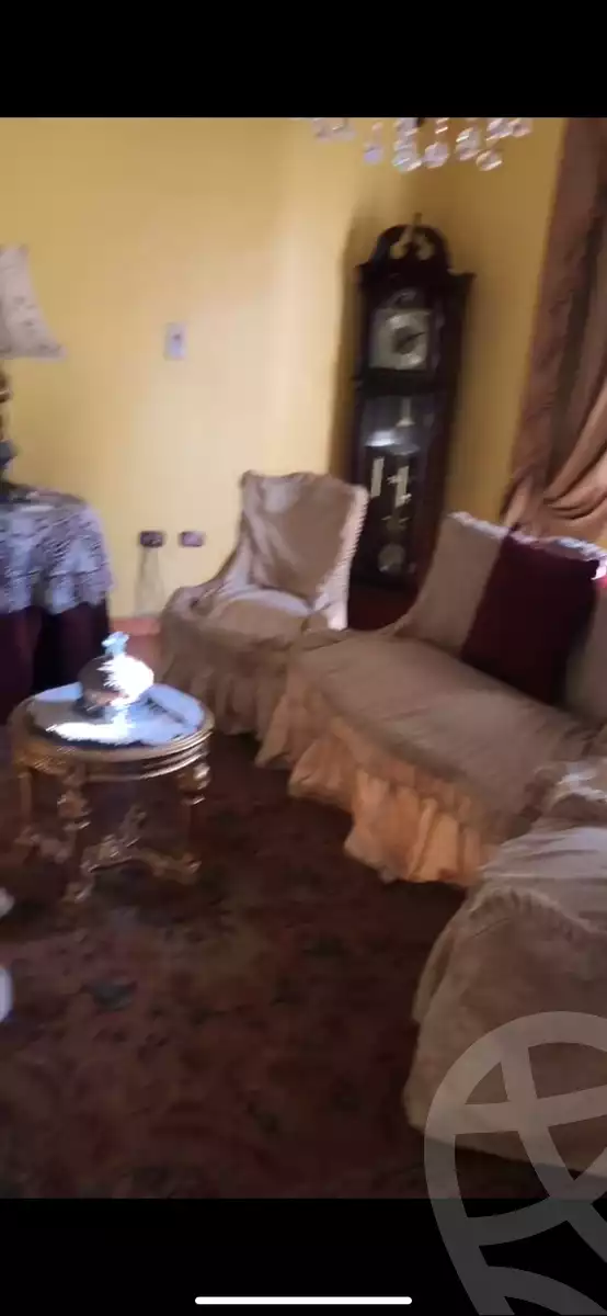 https://aqarmap.com.eg/en/listing/5585133-for-sale-dakahlia-mansoura-toril-el-quds-el-shareef-st