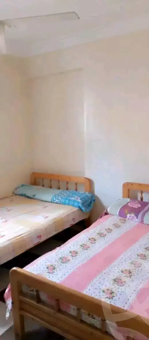 https://aqarmap.com.eg/en/listing/5586399-for-rent-alexandria-miami-hasan-zagmor-st