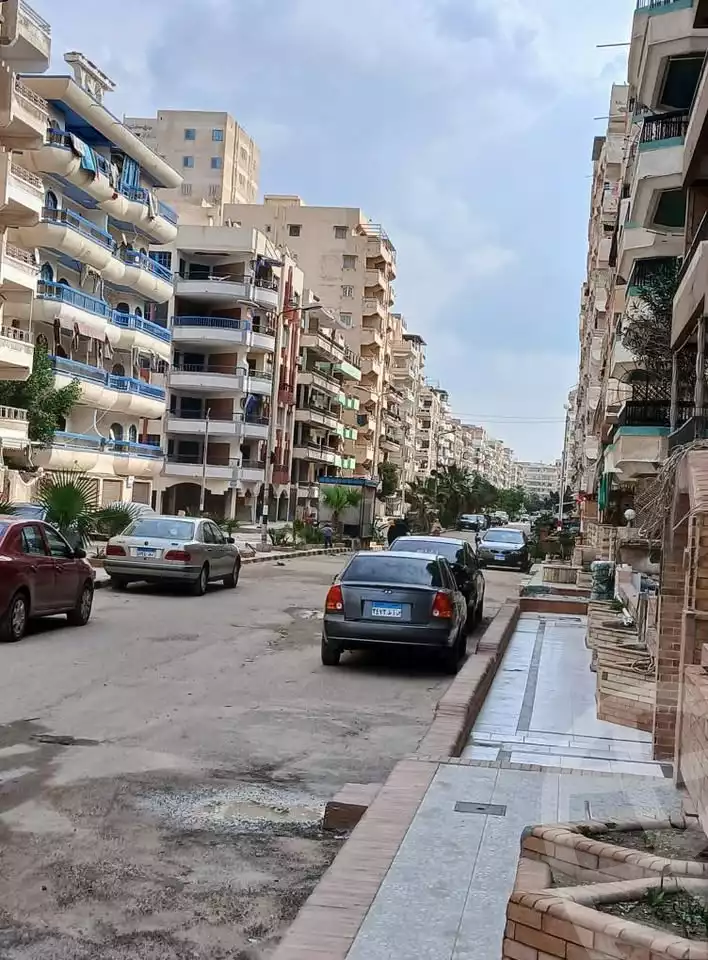 https://aqarmap.com.eg/en/listing/5591854-for-sale-alexandria-l-jmy-shataa-el-nakheel