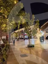 https://aqarmap.com.eg/en/listing/5593257-for-sale-cairo-el-sheikh-zayed-city-compounds-walk-of-cairo-mall