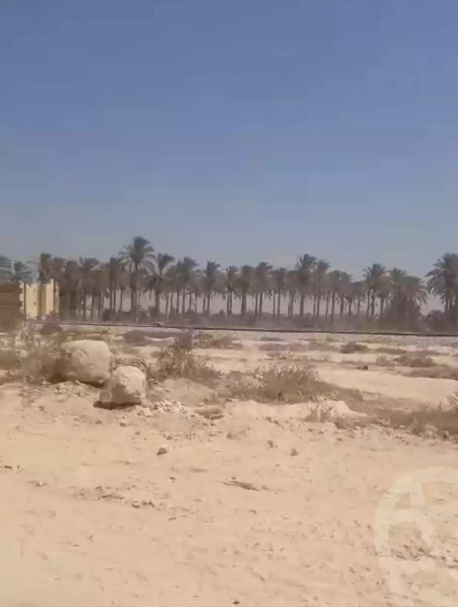 https://aqarmap.com.eg/en/listing/5598274-for-sale-alexandria-king-maryot-omar-el-mokhtar-st