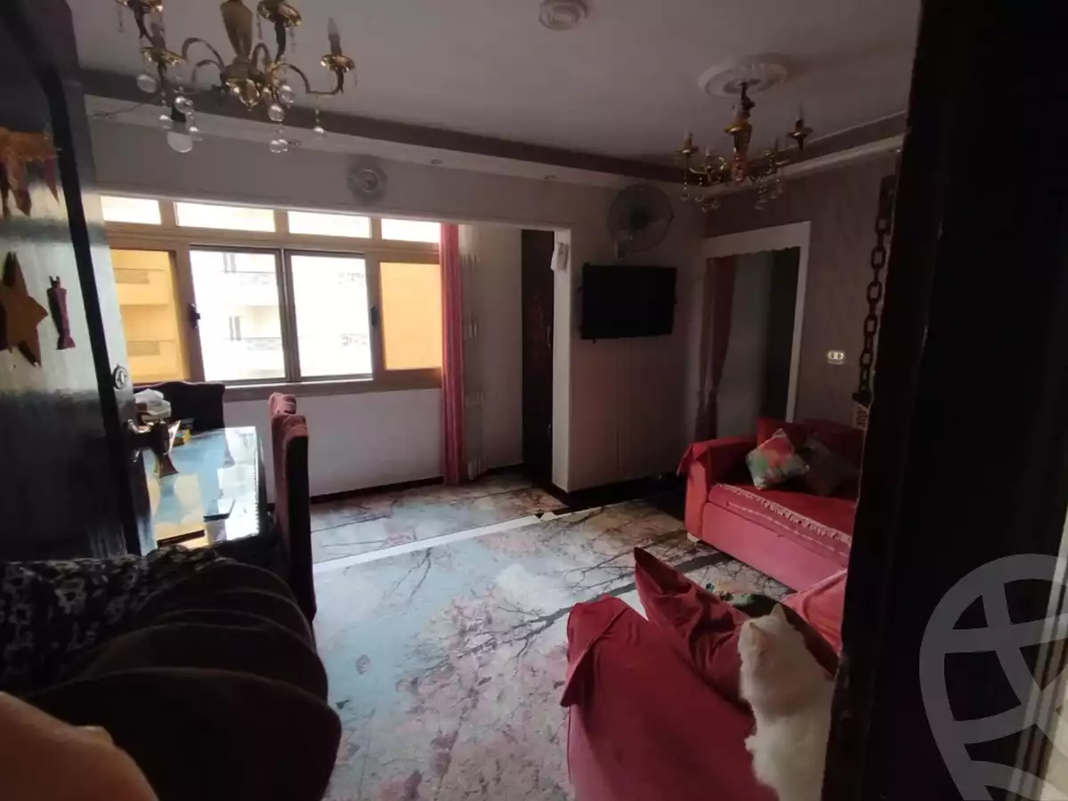 https://aqarmap.com.eg/ar/listing/5916330-for-sale-alexandria-sidi-gaber