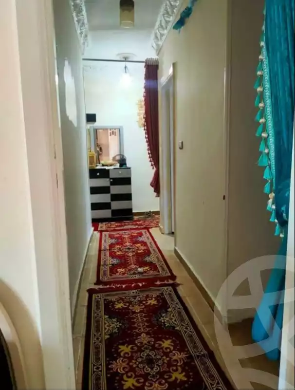 https://aqarmap.com.eg/ar/listing/5916058-for-sale-alexandria-l-jmy-lbytsh-abd-el-fattah-el-talkhawy
