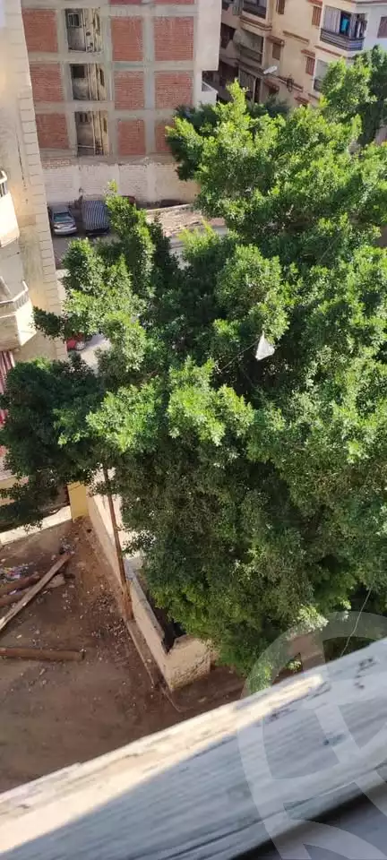 https://aqarmap.com.eg/en/listing/5915678-for-sale-alexandria-l-jmy-lbytsh-sabrin-st