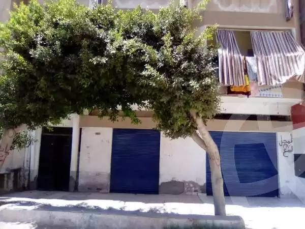 https://aqarmap.com.eg/en/listing/5907272-for-sale-alexandria-l-jmy-bw-ywsf