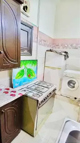 https://aqarmap.com.eg/en/listing/5604756-for-rent-cairo-manial