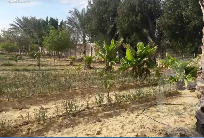 https://aqarmap.com.eg/en/listing/5612244-for-sale-beheira-wadi-el-natrun-bany-salama