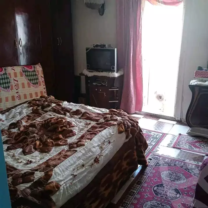 https://aqarmap.com.eg/en/listing/5616613-for-sale-alexandria-l-jmy-shataa-el-nakheel-street-21