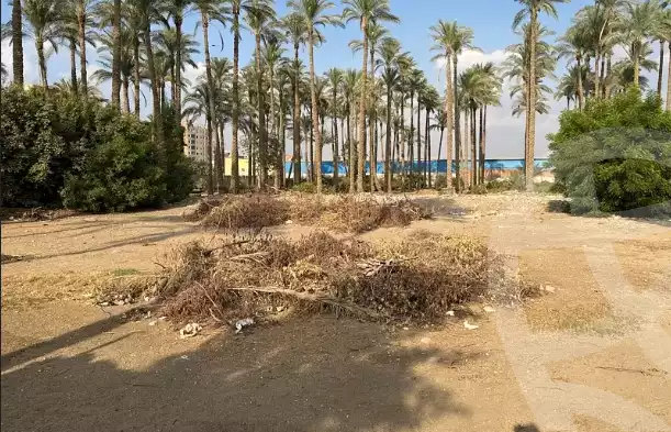 https://aqarmap.com.eg/en/listing/5618462-for-sale-cairo-el-mansuriyyah