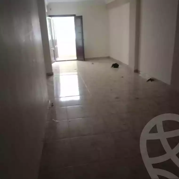 https://aqarmap.com.eg/en/listing/5619366-for-rent-alexandria-l-jmy-lbytsh-el-hanafeya-st