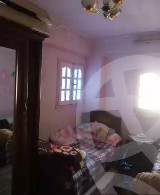 https://aqarmap.com.eg/en/listing/5620006-for-sale-alexandria-lauran