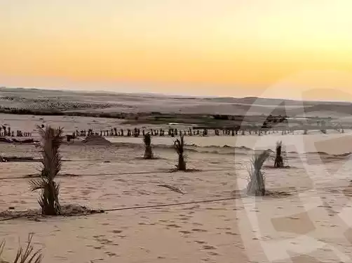 https://aqarmap.com.eg/ar/listing/5621397-for-sale-marsa-matruh-siwa-oasis-wahet-siwaa-city