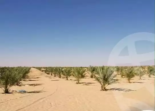 https://aqarmap.com.eg/en/listing/5622459-for-sale-marsa-matruh-siwa-oasis-wahet-siwaa-city