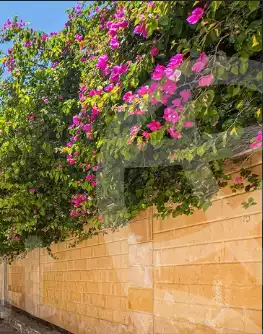 https://aqarmap.com.eg/ar/listing/5623788-for-sale-alexandria-borg-el-arab-compounds-in-borg-el-arab