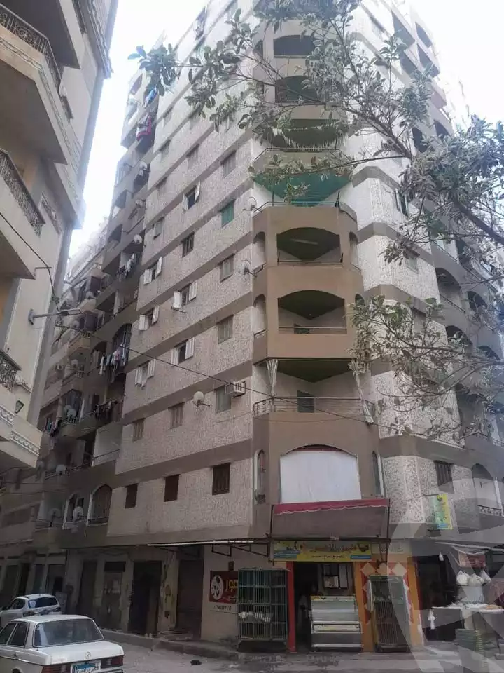 https://aqarmap.com.eg/en/listing/5627672-for-sale-alexandria-el-mandara-nabawy-al-mohandes-st