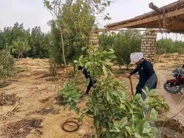 https://aqarmap.com.eg/en/listing/5635920-for-sale-ismailia-ismailia-city