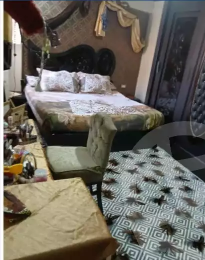 https://aqarmap.com.eg/en/listing/5636534-for-sale-alexandria-l-jmy-lbytsh-el-talkhawy-st