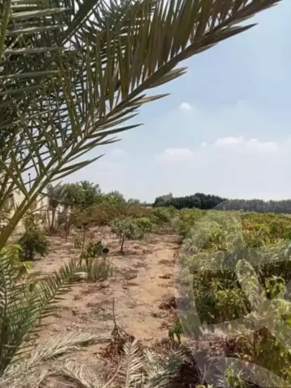 https://aqarmap.com.eg/en/listing/5641599-for-sale-beheira-wadi-el-natrun