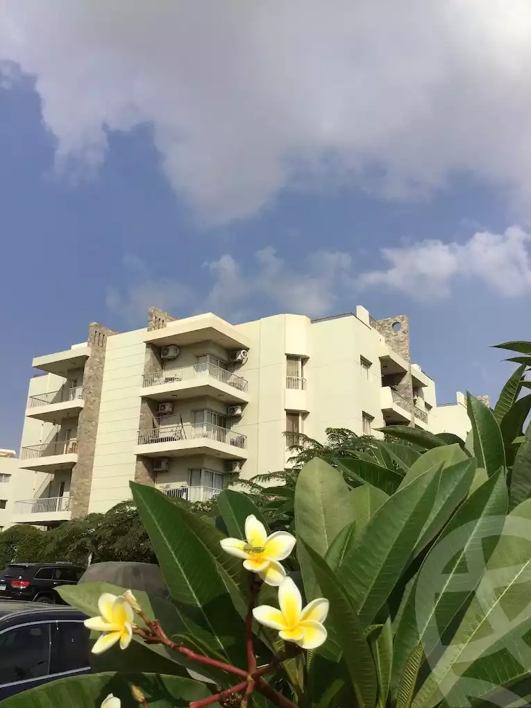 https://aqarmap.com.eg/en/listing/5645198-for-rent-cairo-el-sheikh-zayed-city-compounds-dh-drys