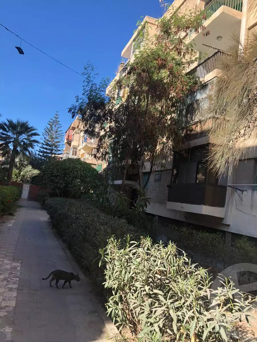 https://aqarmap.com.eg/en/listing/5646332-for-sale-alexandria-lsywf