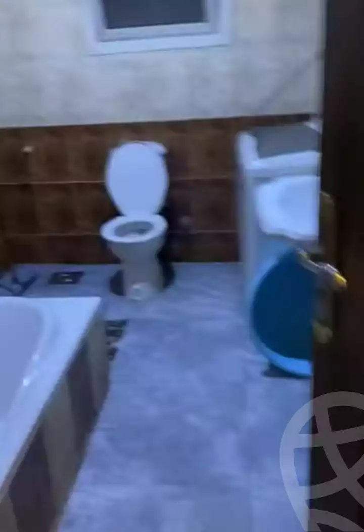 https://aqarmap.com.eg/en/listing/5653716-for-rent-cairo-faisal-el-maryotyah