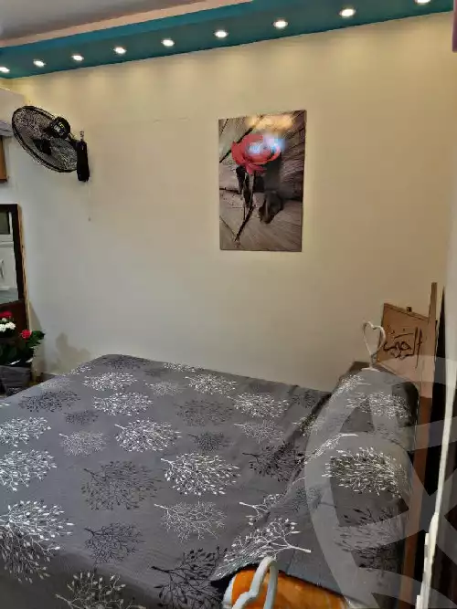 https://aqarmap.com.eg/en/listing/5653890-for-rent-cairo-al-zamalek-abou-el-feda